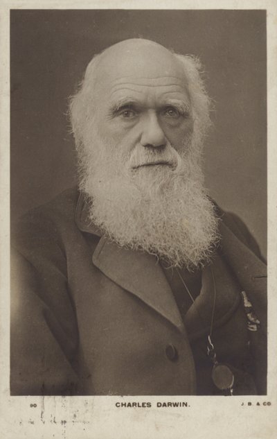 Charles Darwin (1809-1882), Engelse natuuronderzoeker door English Photographer